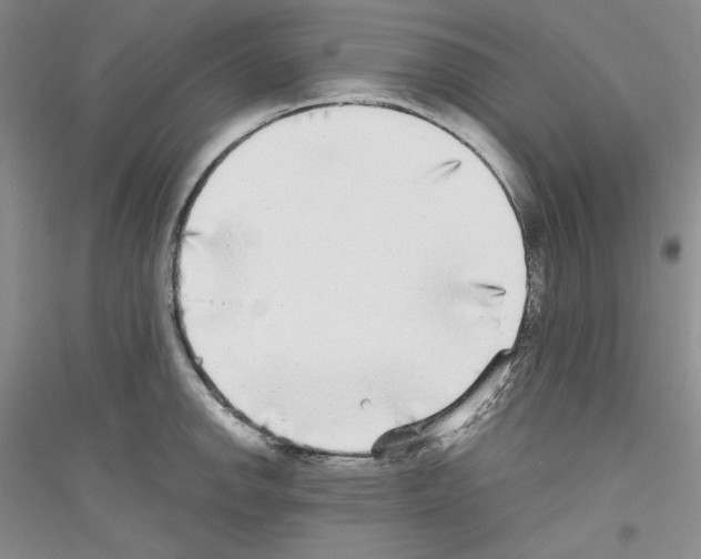 X0000116851142201002021040