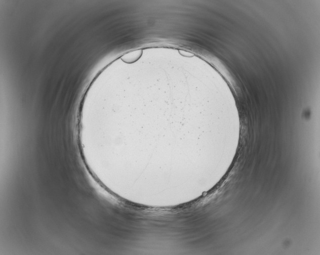X0000116851143201002021040