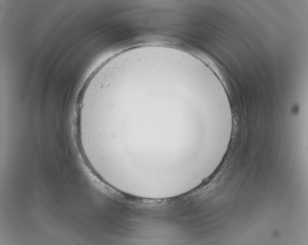 X0000116851147201002021040