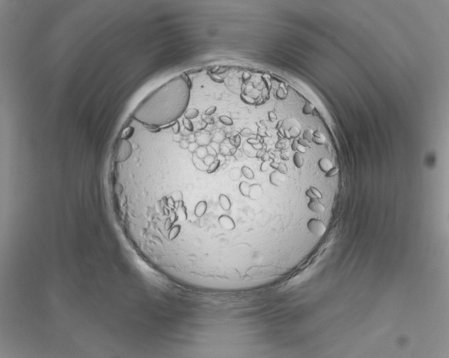X0000116851149201002021040