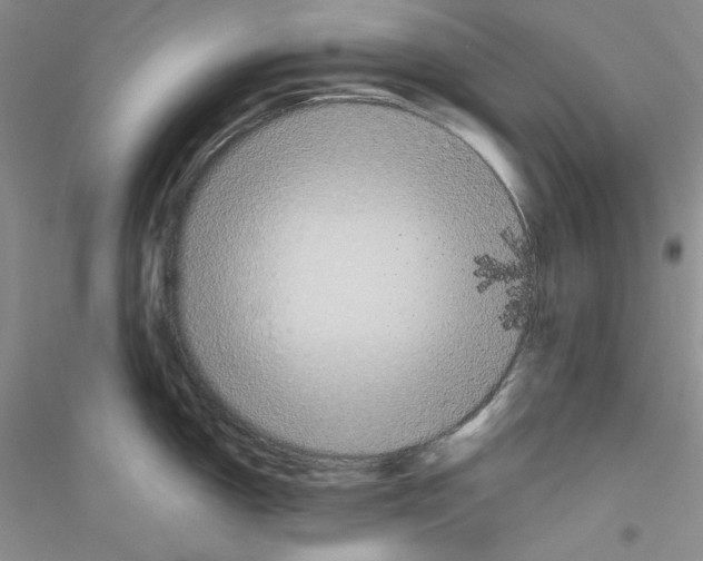 X0000116851150201002021040