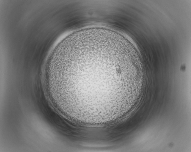 X0000116851151201002021040