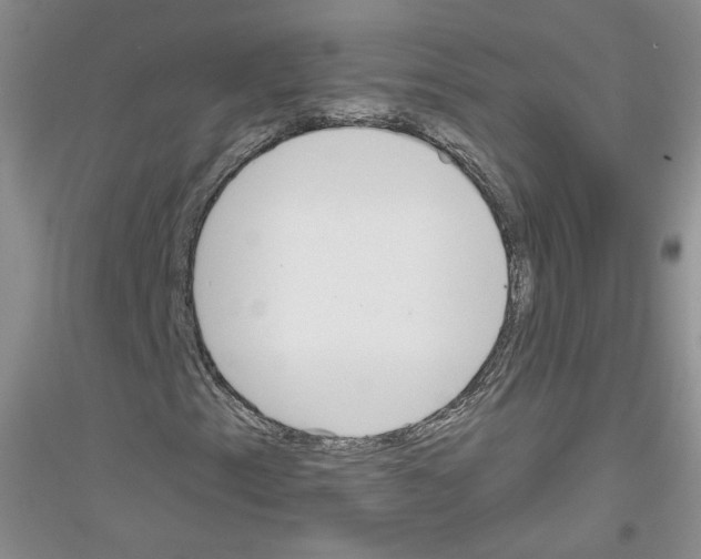 X0000116851153201002021039