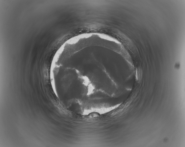 X0000116851155201002021039