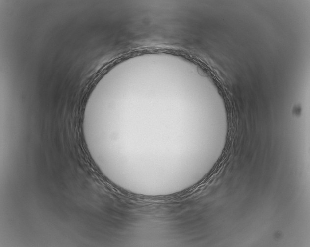 X0000116851157201002021039
