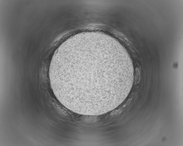 X0000116851158201002021039
