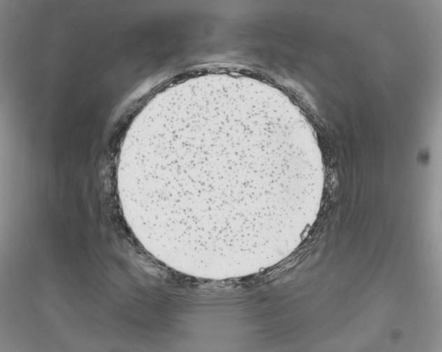 X0000116851159201002021039