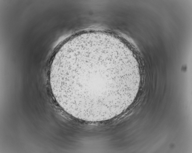X0000116851160201002021039