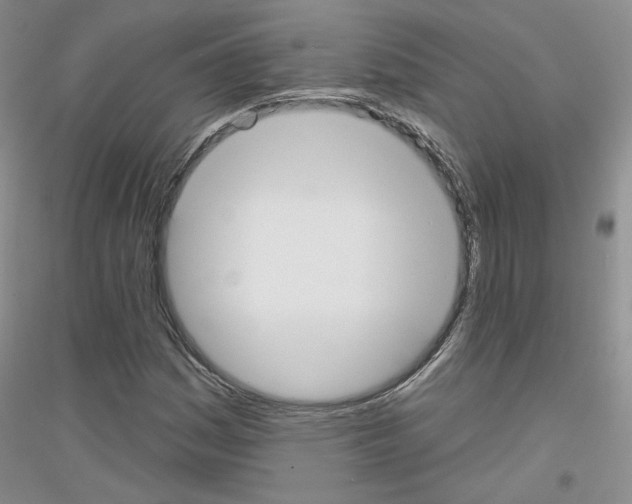 X0000116851161201002021039