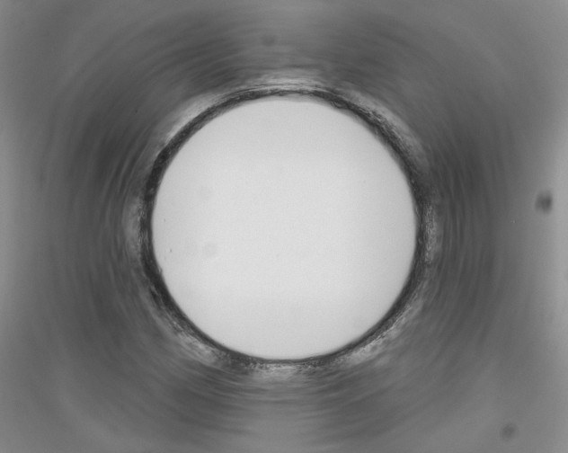 X0000116851162201002021039