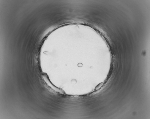 X0000116851163201002021039