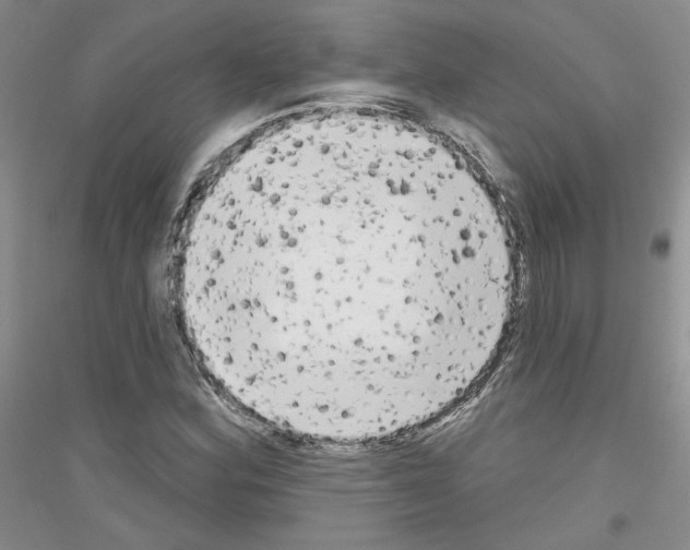 X0000116851164201002021039