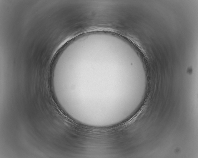X0000116851165201002021039