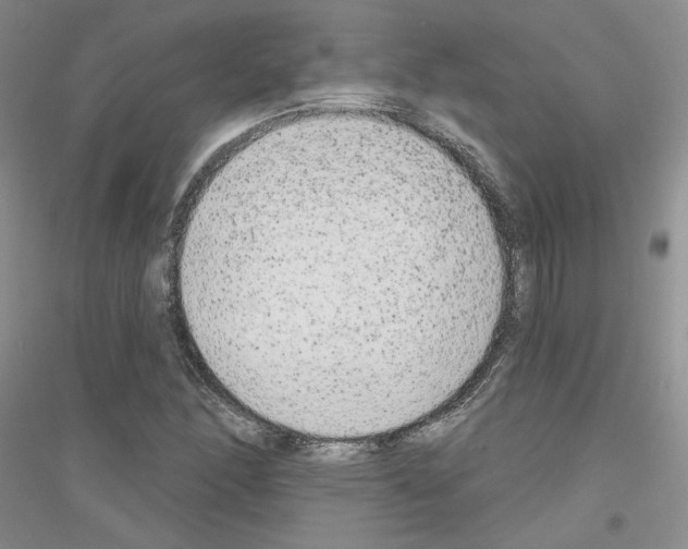 X0000116851166201002021039