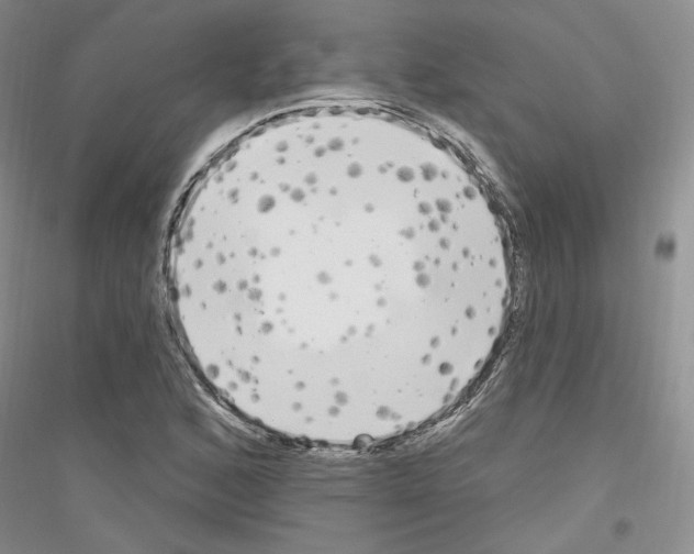 X0000116851168201002021039