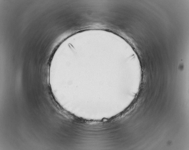 X0000116851171201002021039