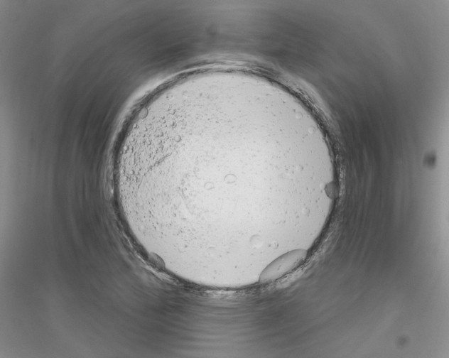 X0000116851172201002021039