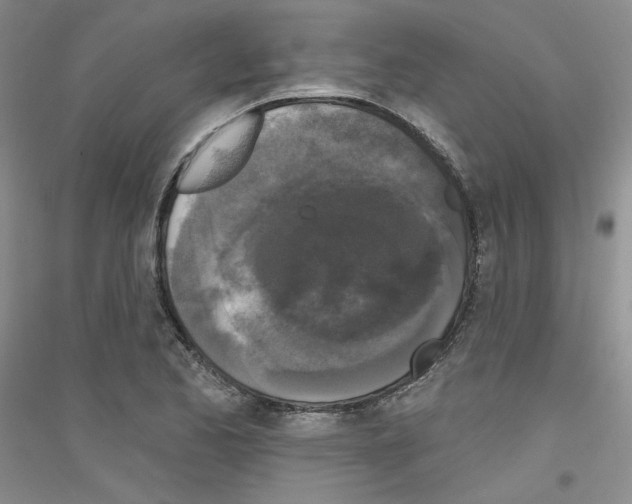 X0000116851173201002021039