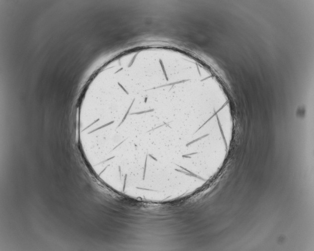 X0000116851175201002021039