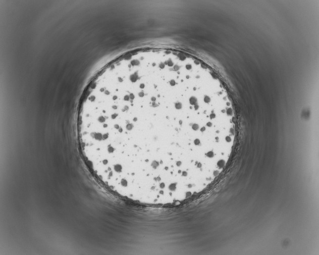 X0000116851176201002021039