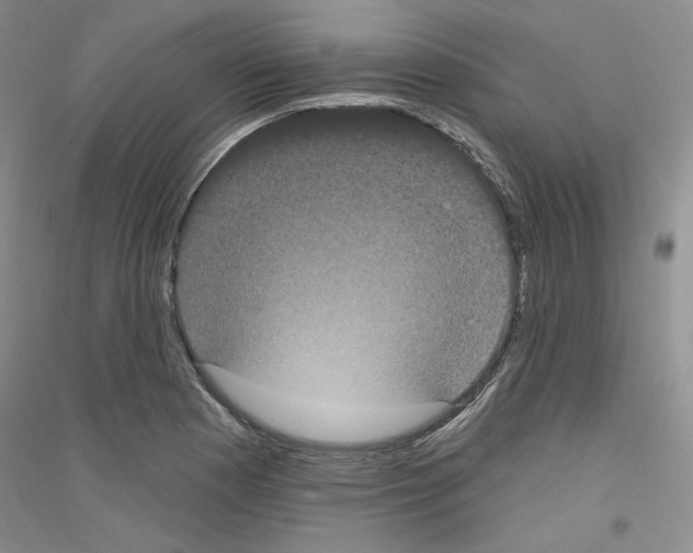 X0000116851177201002021039