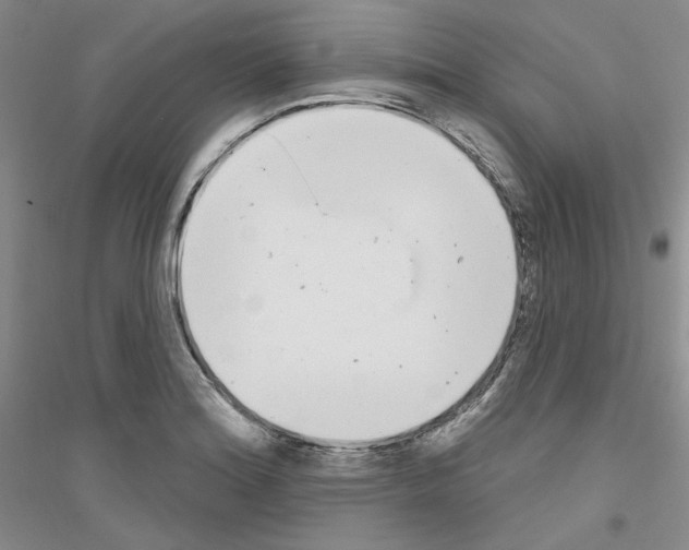 X0000116851180201002021039