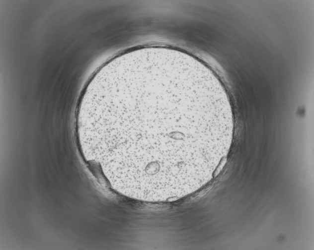 X0000116851183201002021039