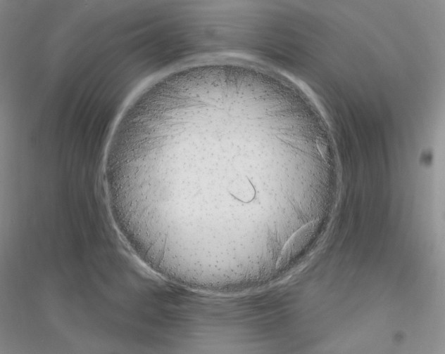 X0000116851184201002021039