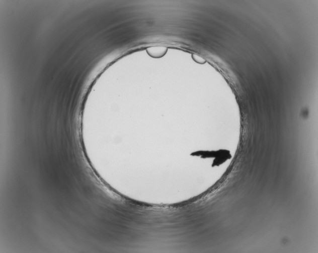 X0000116851188201002021039