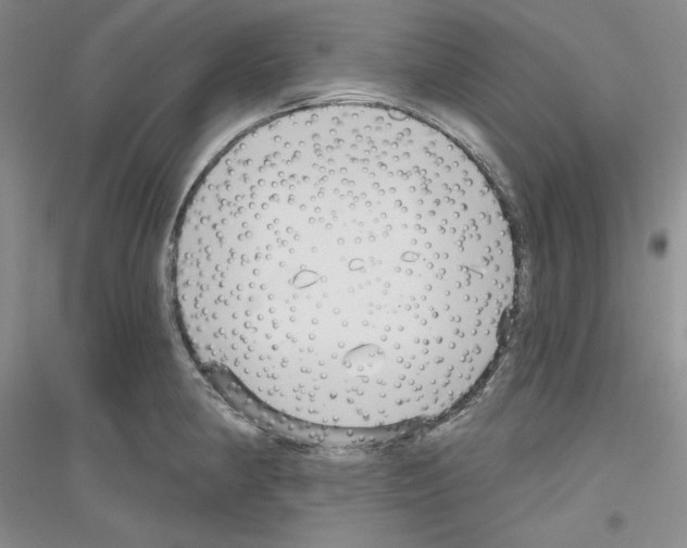 X0000116851190201002021039