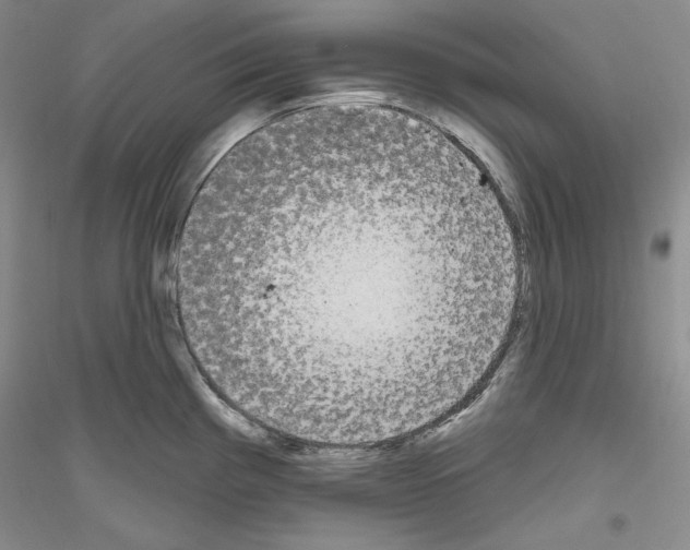 X0000116851193201002021039