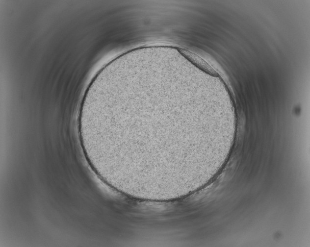 X0000116851197201002021039