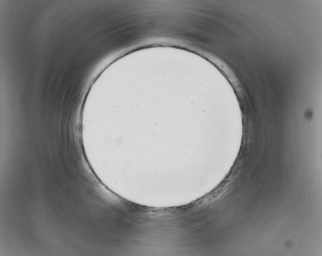 X0000116851199201002021039