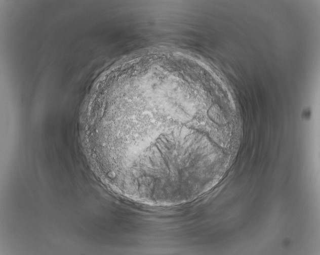 X0000116851201201002021038