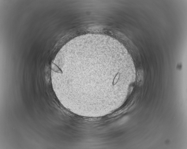 X0000116851202201002021038