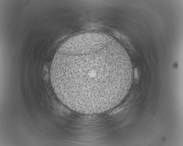 X0000116851203201002021038
