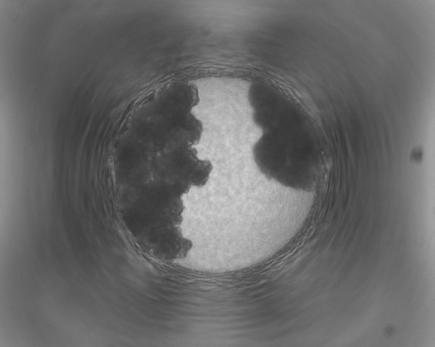X0000116851204201002021038