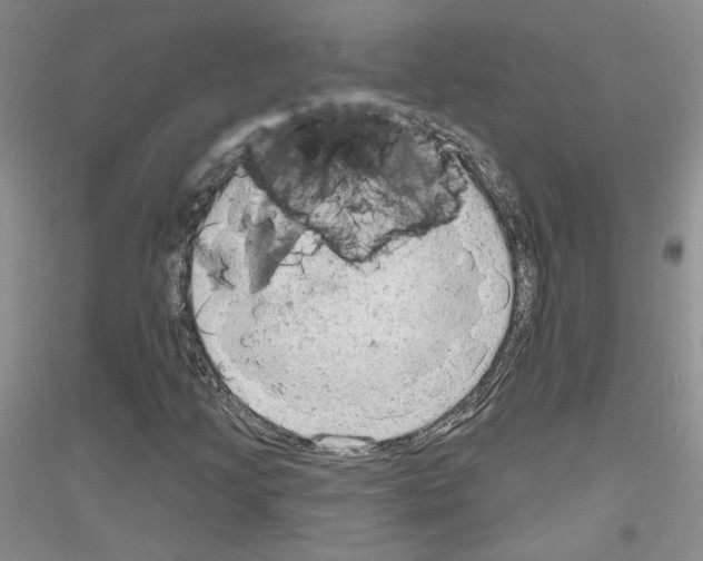 X0000116851205201002021038