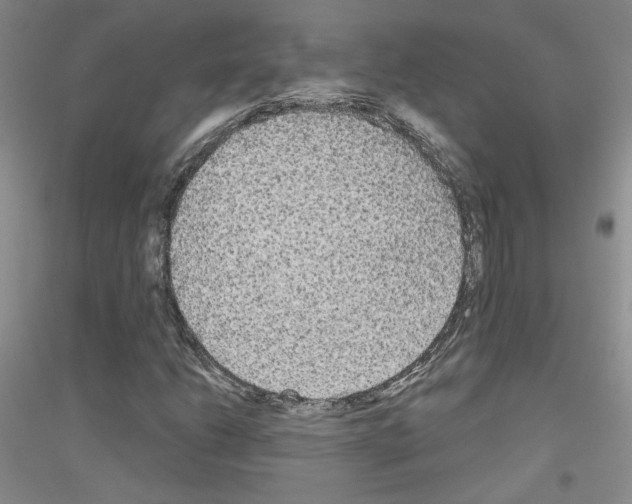 X0000116851206201002021038