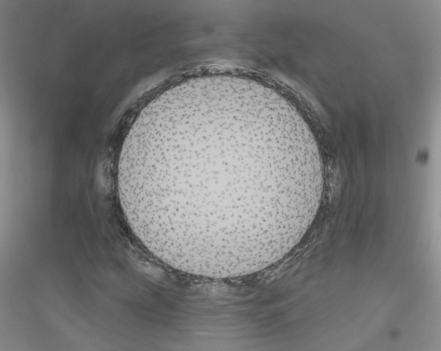 X0000116851207201002021038