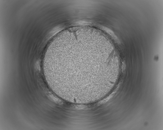 X0000116851209201002021038