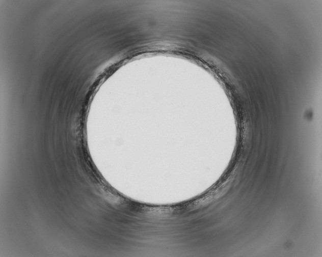 X0000116851210201002021038