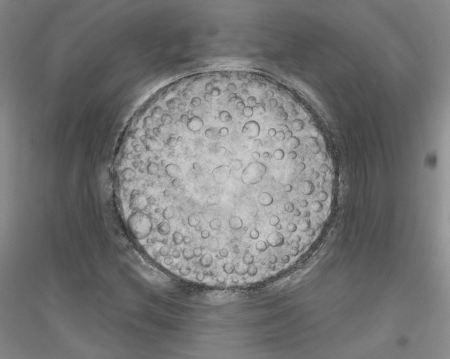 X0000116851212201002021038