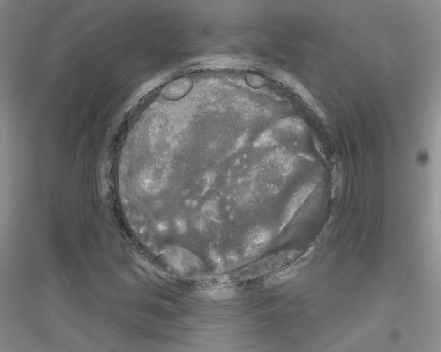 X0000116851213201002021038
