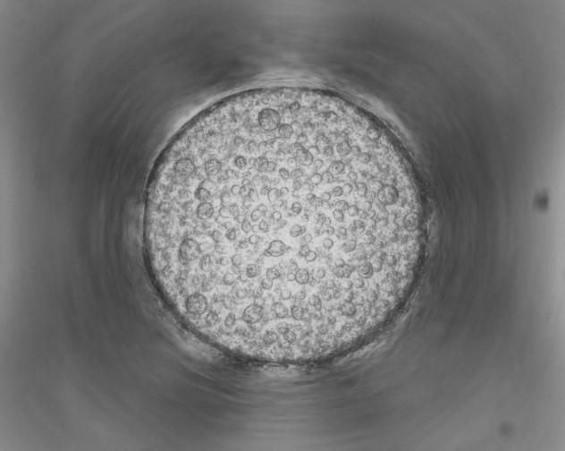 X0000116851220201002021038