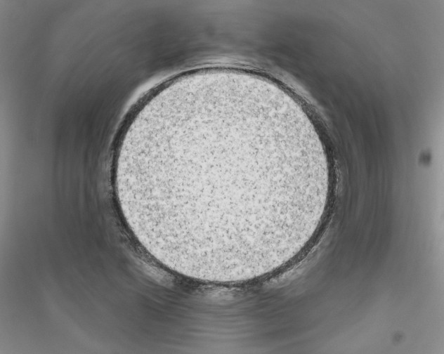 X0000116851222201002021038
