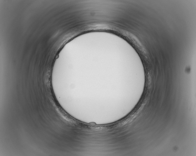 X0000116851225201002021038
