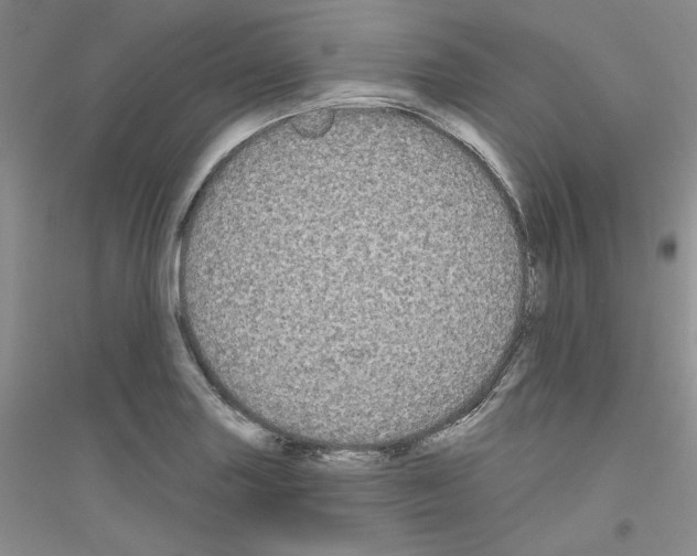 X0000116851227201002021038