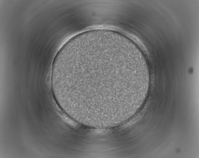 X0000116851228201002021038