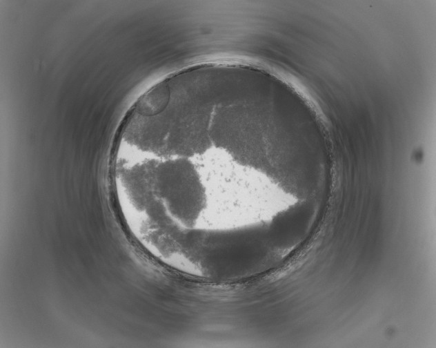 X0000116851229201002021038